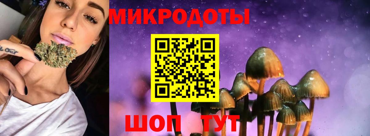 Галлюциногенные грибы GOLDEN TEACHER Большой Камень